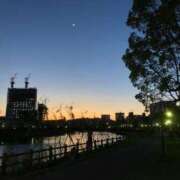 ヒメ日記 2025/01/20 11:41 投稿 みずき 石庭