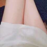 ヒメ日記 2025/02/07 09:45 投稿 みずき 石庭