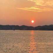 ヒメ日記 2025/04/04 11:50 投稿 みずき 石庭