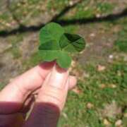 ヒメ日記 2025/04/21 11:50 投稿 みずき 石庭