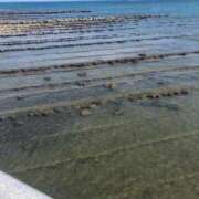 ヒメ日記 2025/04/30 13:10 投稿 みずき 石庭