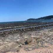 ヒメ日記 2025/05/07 11:50 投稿 みずき 石庭