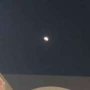 ヒメ日記 2025/07/24 11:50 投稿 みずき 石庭