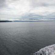 ヒメ日記 2025/08/12 13:20 投稿 みずき 石庭