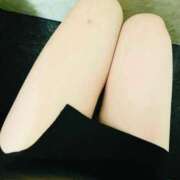 ヒメ日記 2025/10/07 13:21 投稿 みずき 石庭