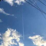 ヒメ日記 2025/10/07 15:06 投稿 みずき 石庭