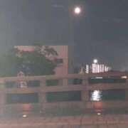 ヒメ日記 2025/10/23 13:20 投稿 みずき 石庭