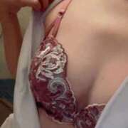 ヒメ日記 2025/11/03 12:03 投稿 みずき 石庭