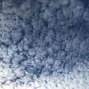 ヒメ日記 2026/01/29 11:50 投稿 みずき 石庭