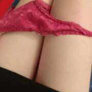 ヒメ日記 2026/02/05 10:10 投稿 みずき 石庭