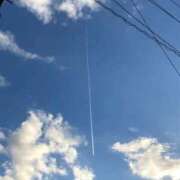ヒメ日記 2026/08/12 12:23 投稿 みずき 石庭