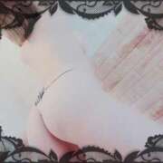 ヒメ日記 2024/12/08 20:23 投稿 みやび 石庭