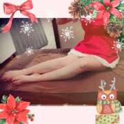 ヒメ日記 2024/12/08 23:08 投稿 みやび 石庭