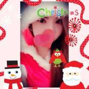 ヒメ日記 2024/12/13 18:17 投稿 みやび 石庭