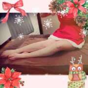 ヒメ日記 2024/12/25 16:16 投稿 みやび 石庭