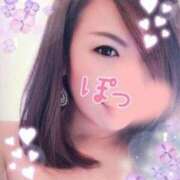 ヒメ日記 2024/12/28 16:58 投稿 みやび 石庭