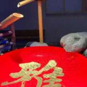 ヒメ日記 2025/02/28 19:09 投稿 みやび 石庭