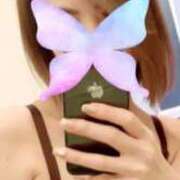 ヒメ日記 2025/03/01 19:50 投稿 みやび 石庭