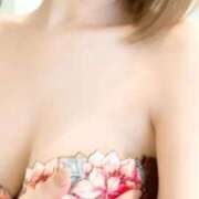 ヒメ日記 2025/03/23 19:30 投稿 みやび 石庭