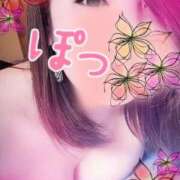 ヒメ日記 2025/09/09 15:53 投稿 みやび 石庭