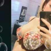 ヒメ日記 2025/12/01 14:56 投稿 みやび 石庭