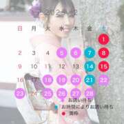 ヒメ日記 2025/01/24 11:58 投稿 神崎あかり プレジデントクラブ