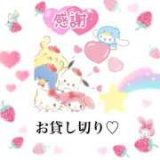 ヒメ日記 2025/04/17 14:31 投稿 神崎あかり プレジデントクラブ