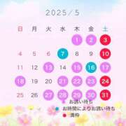 ヒメ日記 2025/04/30 10:53 投稿 神崎あかり プレジデントクラブ