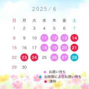 ヒメ日記 2025/06/11 11:51 投稿 神崎あかり プレジデントクラブ