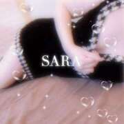 ヒメ日記 2025/05/17 23:51 投稿 サラ 石庭