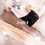 ヒメ日記 2025/05/18 18:50 投稿 サラ 石庭