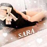 ヒメ日記 2025/07/31 10:21 投稿 サラ 石庭