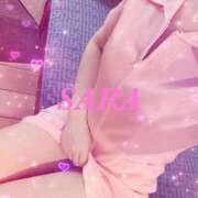 ヒメ日記 2025/07/31 11:50 投稿 サラ 石庭