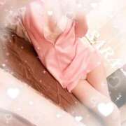 ヒメ日記 2025/07/31 15:20 投稿 サラ 石庭