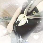 ヒメ日記 2025/08/30 16:20 投稿 サラ 石庭