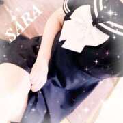 ヒメ日記 2025/09/28 14:00 投稿 サラ 石庭