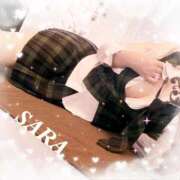 ヒメ日記 2025/09/28 16:50 投稿 サラ 石庭