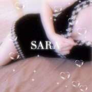 サラ ポイント✨️ 石庭