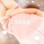 サラ おはようございます☀️ 石庭