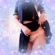 サラ ポイント✨️ 石庭