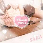 ヒメ日記 2026/03/01 15:50 投稿 サラ 石庭