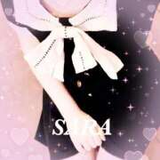 サラ こんにちは✨️ 石庭