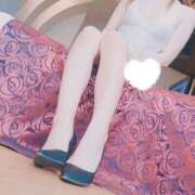 ヒメ日記 2025/04/06 17:01 投稿 りょうこ 石庭