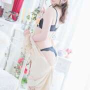 ヒメ日記 2025/06/13 12:50 投稿 りょうこ 石庭