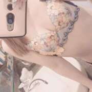 ヒメ日記 2025/06/30 14:30 投稿 りょうこ 石庭