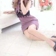 ヒメ日記 2025/08/24 12:39 投稿 りょうこ 石庭