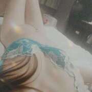 ヒメ日記 2025/10/13 22:00 投稿 りょうこ 石庭