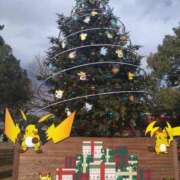 ヒメ日記 2025/12/22 18:53 投稿 りょうこ 石庭