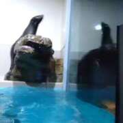 ヒメ日記 2026/01/15 00:02 投稿 りょうこ 石庭