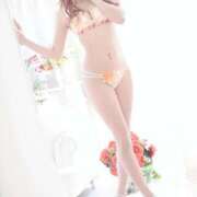 ヒメ日記 2026/02/07 11:50 投稿 りょうこ 石庭